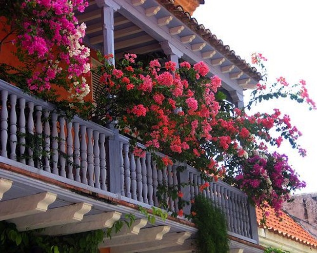 Pretty Balcony 1