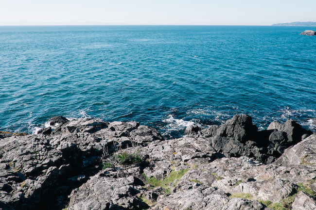 useDeathtoStock_CreativeSpace2 11.45.06 AM